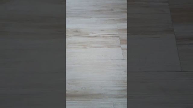 Что нужно на первое время собаке? У меня китайская хохлатая собака)Ещё щенок) смотреть онлайн