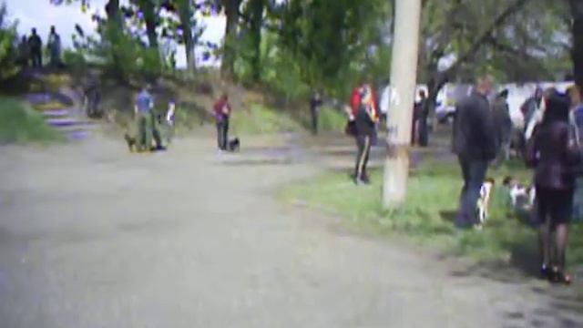 Выставка охотничьих собак в Луганске 10 Мая 2009 14 смотреть онлайн