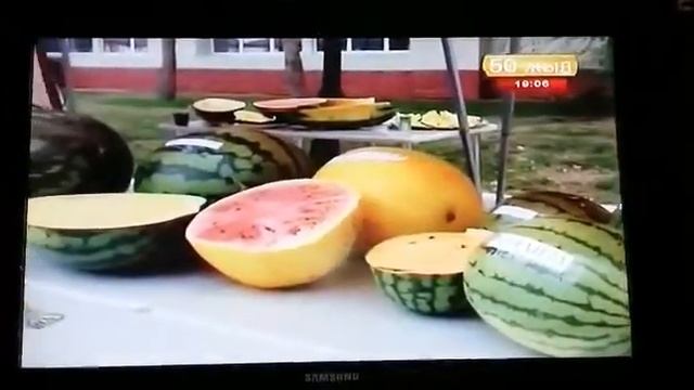 11 октября 2015 г. смотреть онлайн