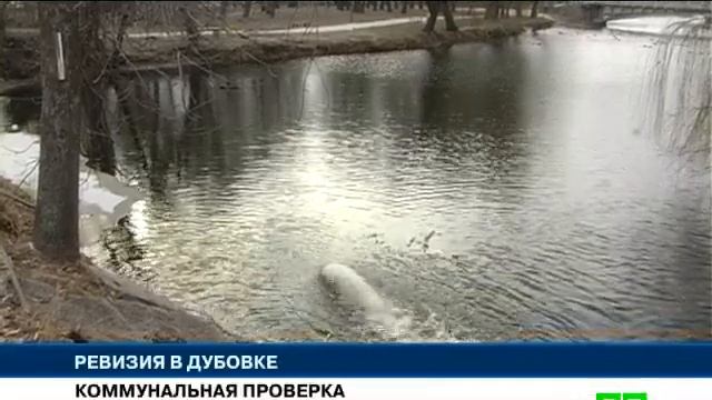 Новости МТМ - В парк «Дубовая роща» нагрянула спецкомиссия - 30.12.2015 смотреть онлайн