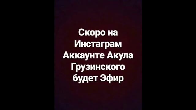 АКУЛА ГРУЗИНСКИЙ РАССКАЖЕТ ВСЮ ПРАВДУ  НЕ ПРОПУСТИТЕ