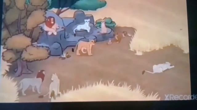 Клип слеза мой прайд