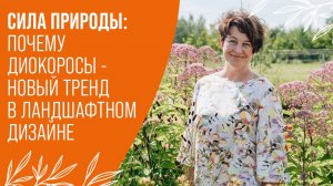 Дикоросы и их роль в современном ландшафтном дизайне | Тренды ландшафтного дизайна