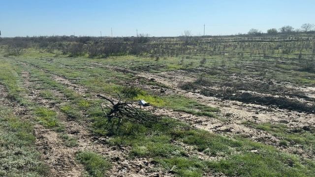 Земельный участок смотреть онлайн