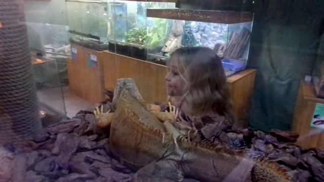 Эмили и варан