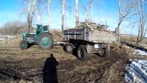 Весенние будни продолжаются.