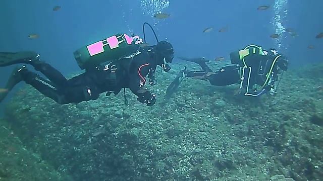 Immersione Alla Secca Isuela Nel Mare Di Camogli