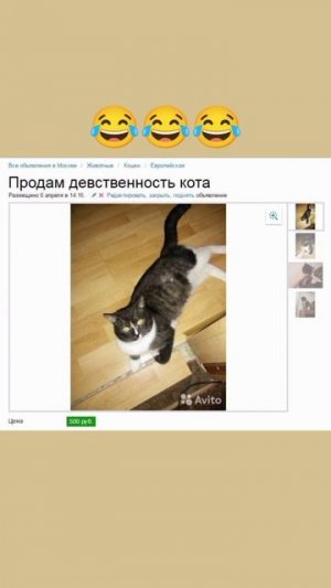 Смешные объявления на Авито 😆 #приколы #авито #мемы
