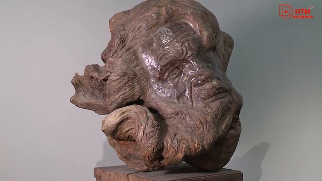 Гороскоп, обзоры фильмов, женские советы. Народное утро. Выпуск 1035 смотреть онлайн