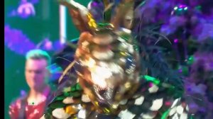 А4 золотая белка