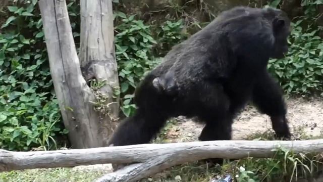 Тайланд 2020 Паттайя