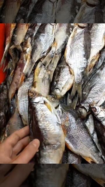 Вяленая чехонь, Сорога с икрой