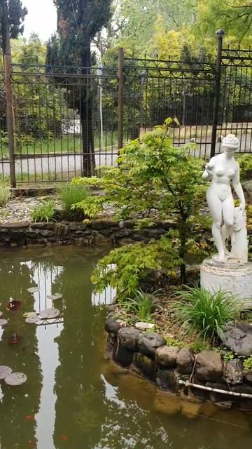 #Shorts #Прогулка #Рыбки смотреть онлайн