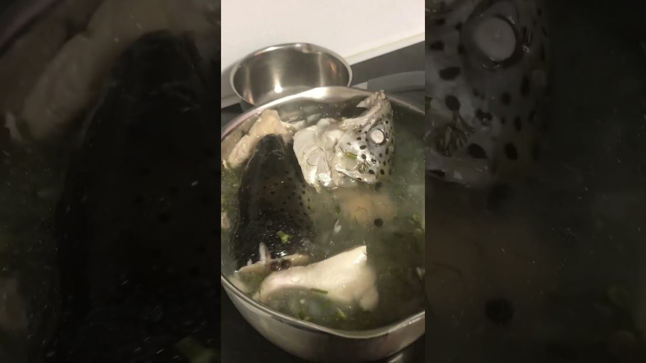 Наваристая Уха из Сёмги #еда #уха #мукбангроссия #вкусно #рецепт смотреть онлайн