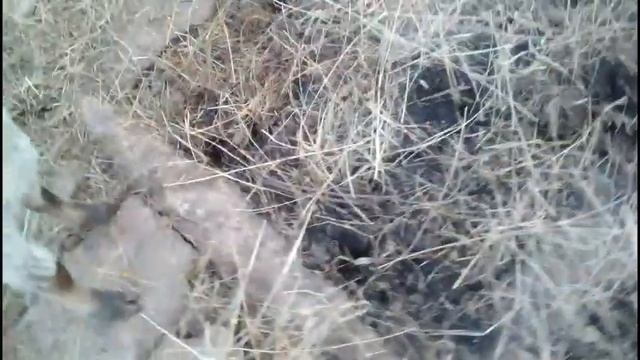 Кувалат. Борис. 12шка смотреть онлайн