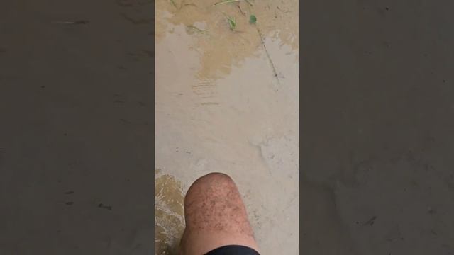 GRUT 2024 - T100 / 110 км / Суздаль