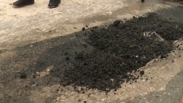 Новости Новосибирска на канале "НСК 49" // Эфир 24.11.16 смотреть онлайн