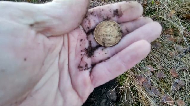 Коп на затерянном дворе.