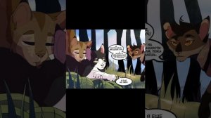 Мемы Коты-Воители [Русская озвучка