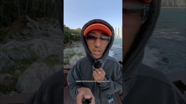 Лес ТЕХНО МОНАХОВ в Южной КОРЕЕ