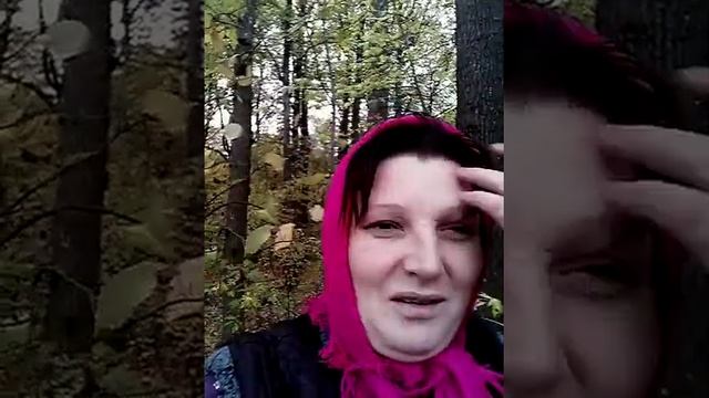 У кума..... смотреть онлайн