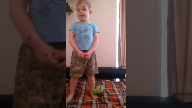 Прикол. Развод волка смотреть онлайн