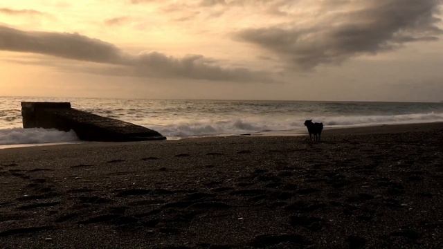 Махмутлар в январе смотреть онлайн