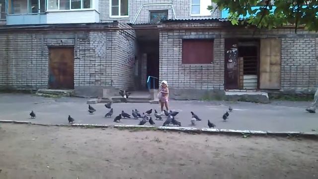 Девочка и голуби смотреть онлайн