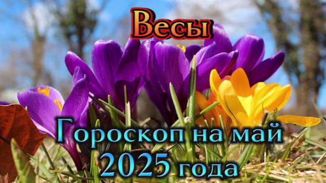 Весы! Гороскоп на май 2025 года! смотреть онлайн