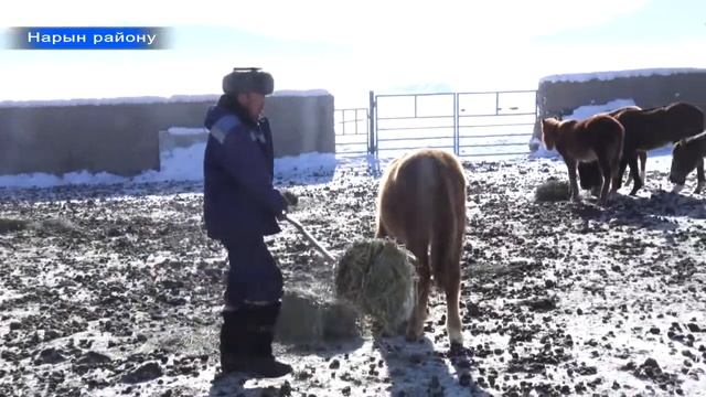 Жаңылыктар 08.01.2019 смотреть онлайн