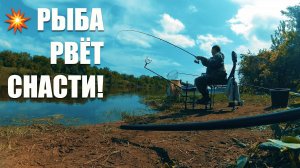 Донская рыба рвет поводки...Кто это хоть есть? Рыбалка на реке Дон на фидер