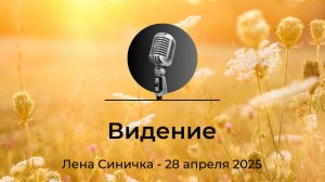 Спикерская АНЗ "Видение" Лена Синичка, 28 апреля 2025 года