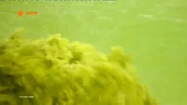 Спонсор показу. Молокія - молоко, яке тебе любить