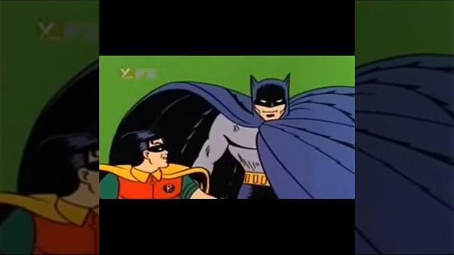 Приколы с животными 2019 часть 2 смотреть онлайн