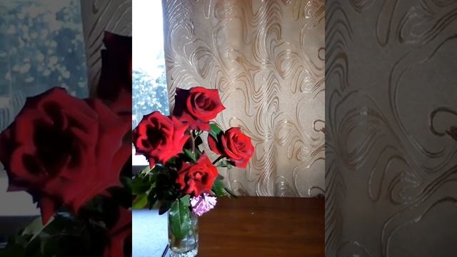 Мой рассказ о пситерроре номер 4.см описание. смотреть онлайн