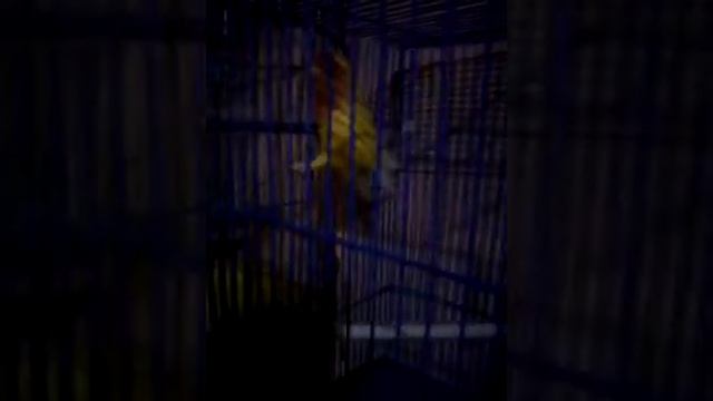 Домашний зоопарк 2 смотреть онлайн