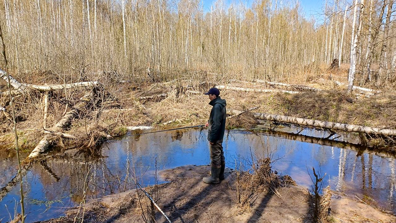 ЭТОТ лесной РУЧЕЙ, НАБИТ РЫБОЙ! Рыбалка на боковой кивок смотреть онлайн