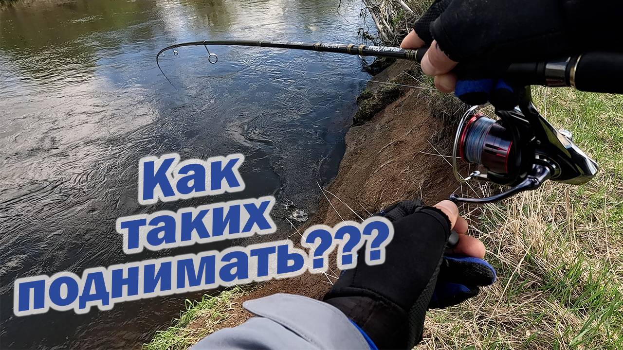 РЕЧКА СНОВА ОЖИЛА!!! ПРИМАНКИ И ОСНАСТКИ ДЛЯ ТРОФЕЙНОЙ РЫБАЛКИ!!! смотреть онлайн