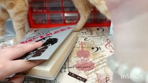 разнообразные покупки