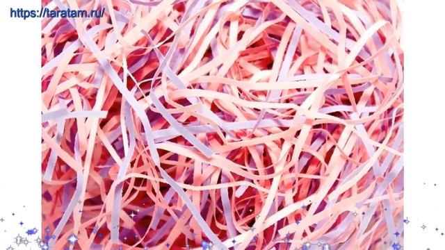 Наполнитель (стружка) комбинированного цвета производства Россия смотреть онлайн