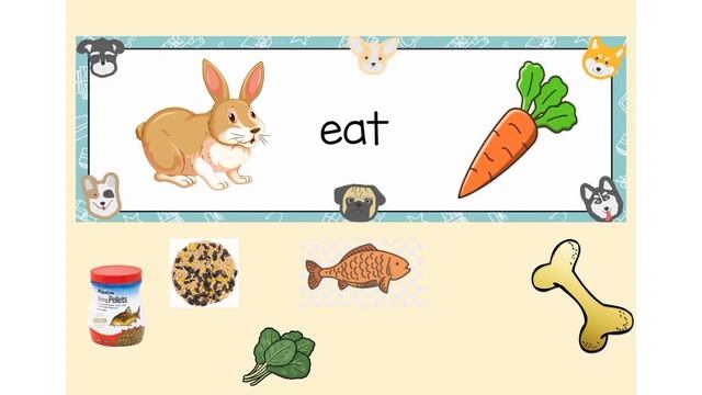 Pet animals and their food
