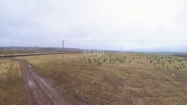 4848432 смотреть онлайн
