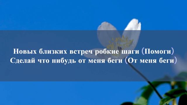 Vintage Винтаж Ева