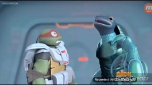 Любовь черепашек ниндзя