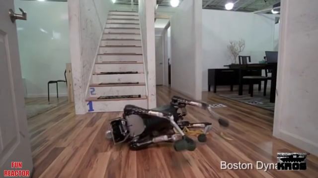 COUB Лучшее #10 | лучшие приколы | Best coub смотреть онлайн