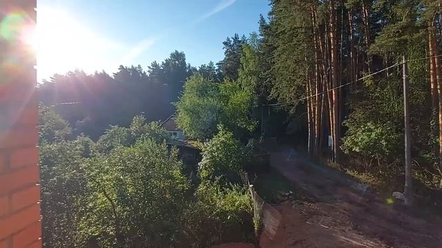 ЗАЩИТА НА ДУБ... для всей семьи