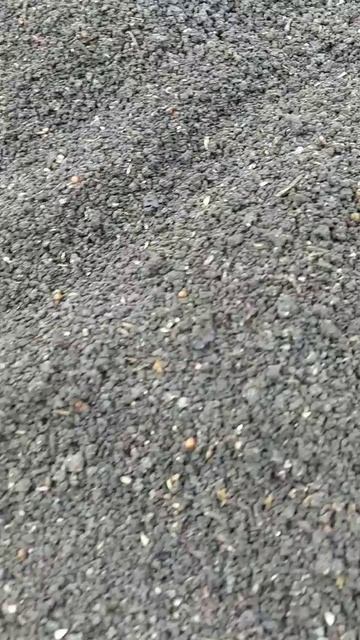 Бассейн для червей. смотреть онлайн