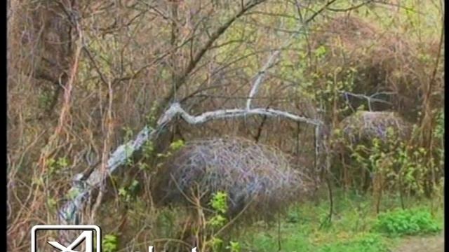 Лэнд Арт смотреть онлайн