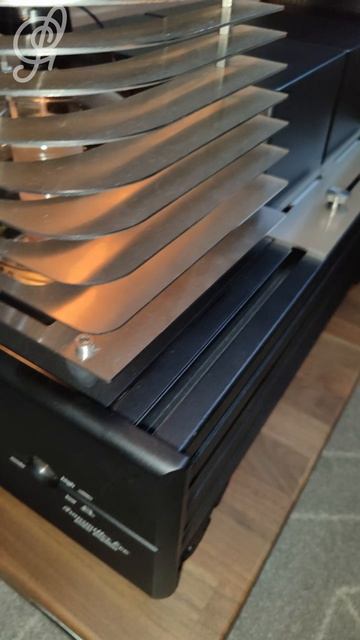 20 Shorts - Audio Sammit смотреть онлайн