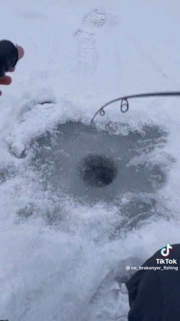 Сон рыбака😂😁👍#рыбалка 2022#рыбалка#прикол#fishing #shorts #icefishing #отдых#окунь#первый лед смотреть онлайн